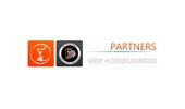 MBF Partners